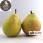 Poires «Williams» (kg)