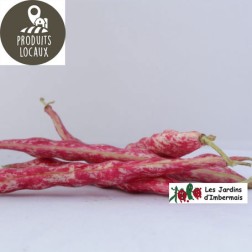 haricot à écosser rouges