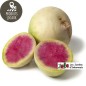 Radis rave red meat (kg) Radis rave red meat (kg)