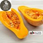Courge Sucrine du berry (environ 1,6 kg)