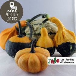 Coloquintes décoratives (10 pièces)