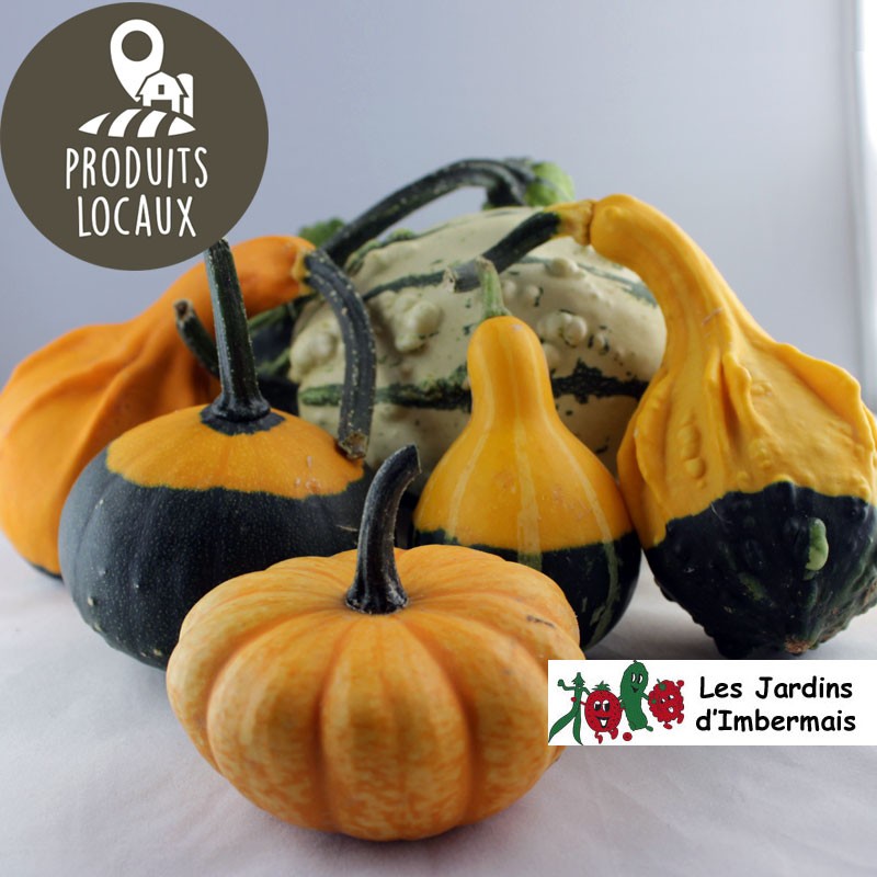 Coloquintes décoratives (5 pièces)