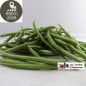 Haricots verts extra fins (Kg)