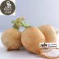 Navets jaunes boules d'or (Kg) Navets jaunes boules d'or (Kg)