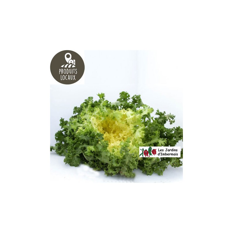 Salade frisée