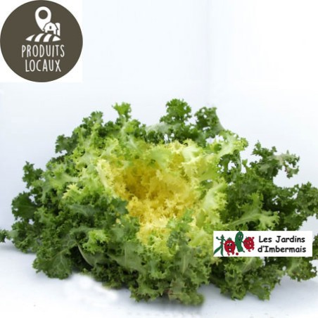 salade frisée