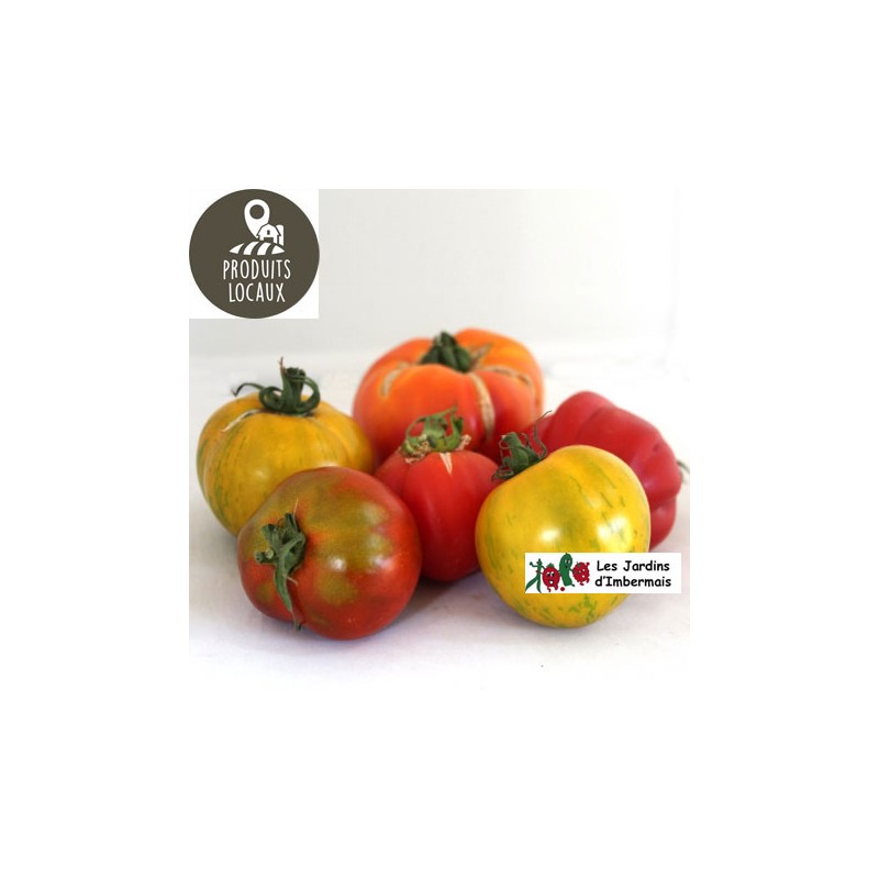 Tomates mélange variétés anciennes selon cueillette du jour (kg)