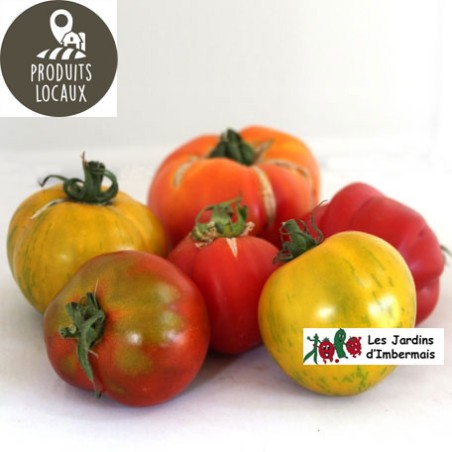 tomates anciennes