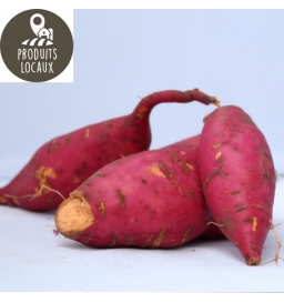 Patate douce (kg)