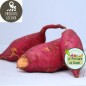 Patate douce (kg)