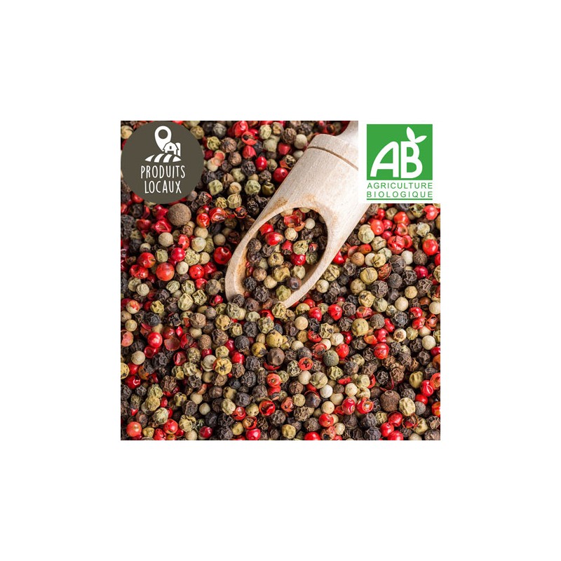 Poivre 5 baies BIO (100g)