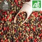 Poivre 5 baies BIO (100g)