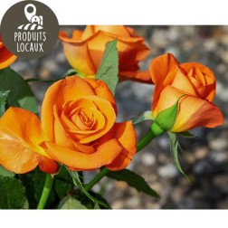 Bouquet de roses (x7)