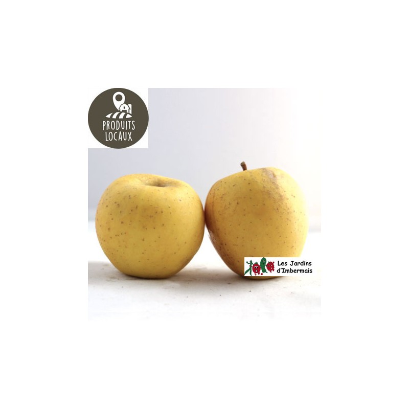 Pommes «Gold Rush» (kg)