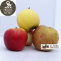 Pommes (mélange) kg