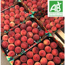 Nectarine jaune BIO