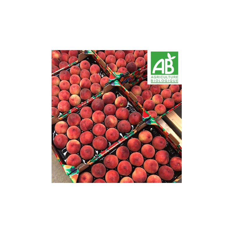 Nectarine jaune BIO