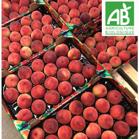 Nectarine jaune BIO