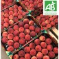 Nectarine jaune BIO