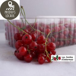 Groseilles rouges (330g)