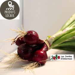 Botte d’oignons rouges