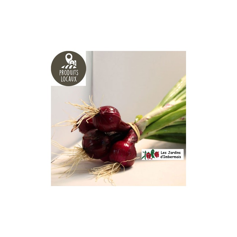 Botte d’oignons rouges