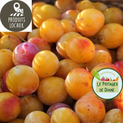 Mirabelles (500g) - Ecocinelle