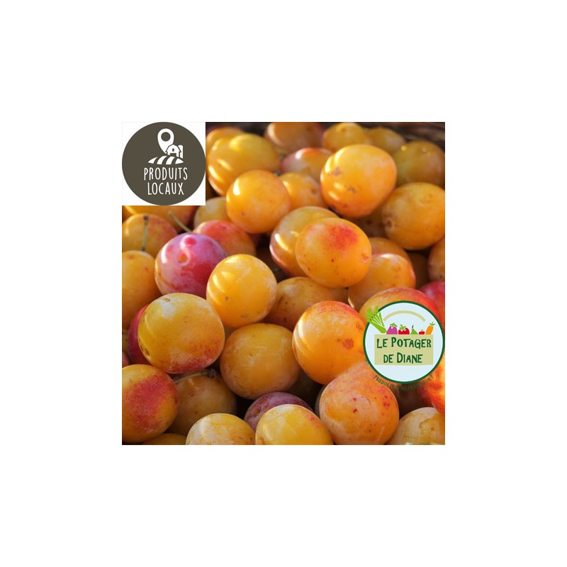 Mirabelles (kg)