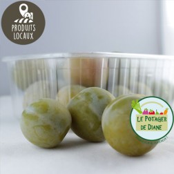 prunes reine claude