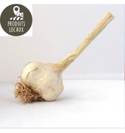 Ail (100g)