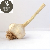 Ail (100g)