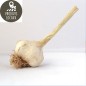 Ail (100g)