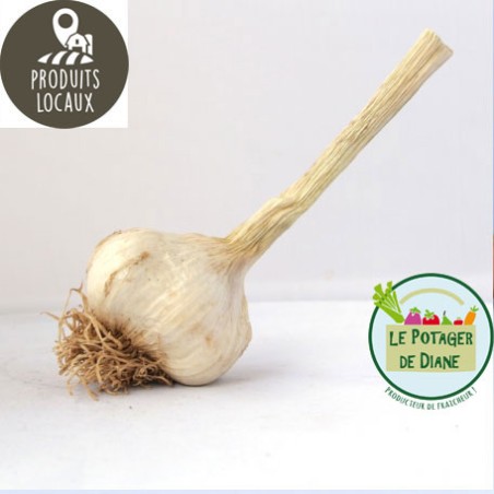 Ail (100g)