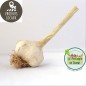 Ail (100g)
