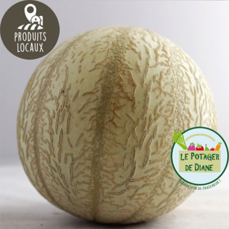 Melon