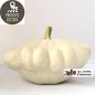 Patisson (environ 1.2 kg)