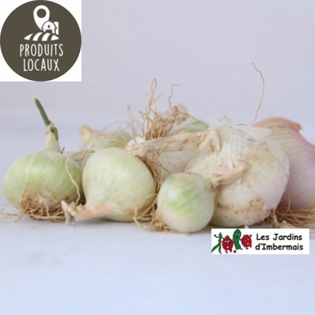Oignons blancs (kg)