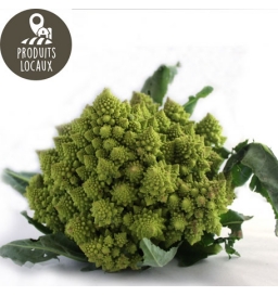Chou romanesco