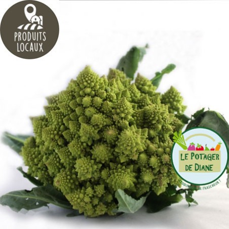 Chou romanesco