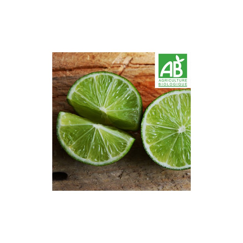 Citrons Lime BIO (Corse) (kg)