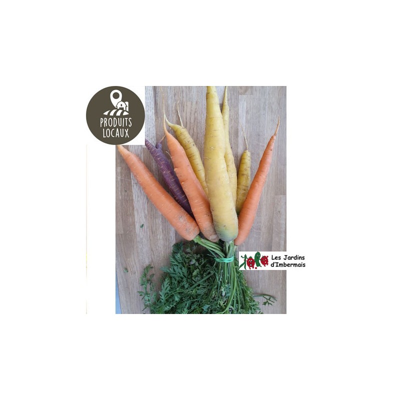 Botte de carottes couleurs