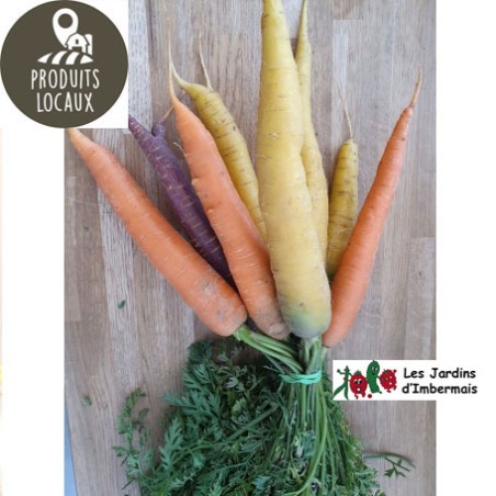 Botte de carottes couleurs