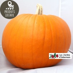 Potiron “Halloween“ (entre 3 et 4kg)