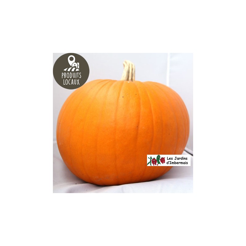 Potiron “Halloween“ (entre 3 et 4kg)