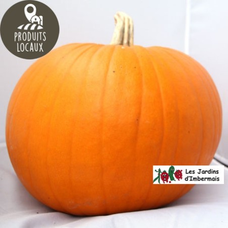 Potiron “Halloween“ (entre 3 et 4kg)