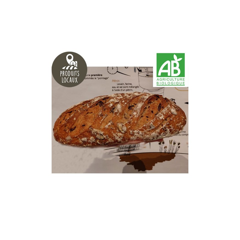 Le petit lin courge BIO (500g)