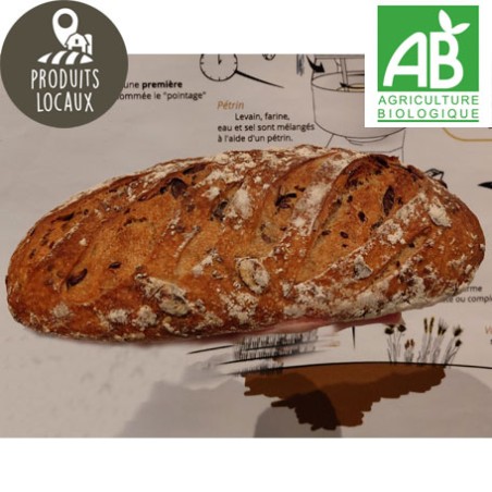 Le petit lin courge BIO (500g)