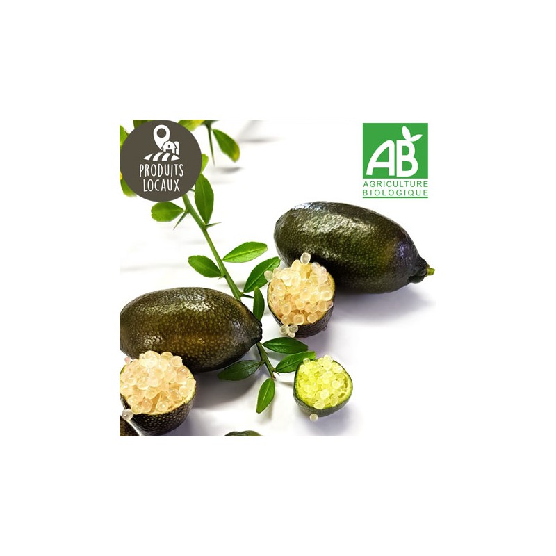 Citrons caviar "Soleil jaune" BIO (30g)