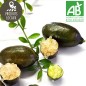 Citrons caviar "Soleil jaune" BIO (30g)