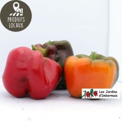 Poivrons couleurs (kg)